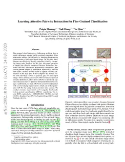 Learning Attentive Pairwise Interaction for Fine-Grained Classification