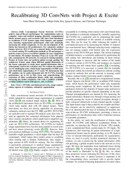 Recalibrating 3D ConvNets with Project & Excite
