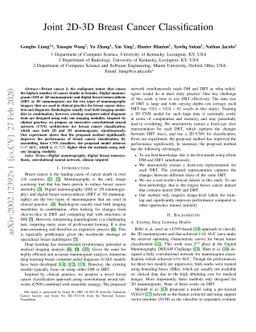 Joint 2D-3D Breast Cancer Classification