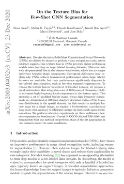 On the Texture Bias for Few-Shot CNN Segmentation