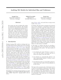 Auditing ML Models for Individual Bias and Unfairness