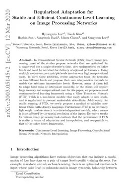 Regularized Adaptation for Stable and Efficient Continuous-Level
  Learning on Image Processing Networks