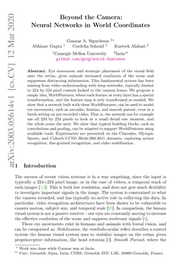 Beyond the Camera: Neural Networks in World Coordinates