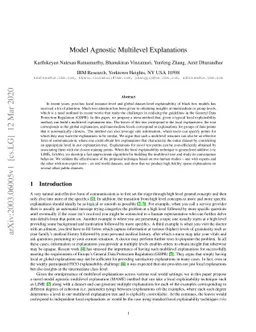 Model Agnostic Multilevel Explanations