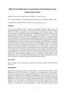 BigGAN-based Bayesian reconstruction of natural images from human brain
  activity