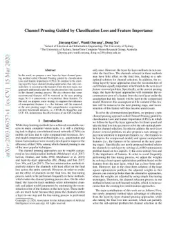 Channel Pruning Guided by Classification Loss and Feature Importance
