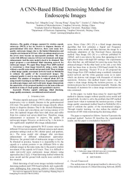 A CNN-Based Blind Denoising Method for Endoscopic Images