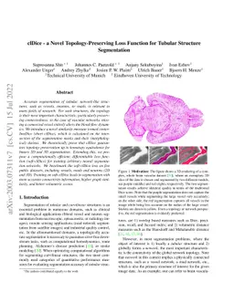clDice -- A Novel Topology-Preserving Loss Function for Tubular
  Structure Segmentation
