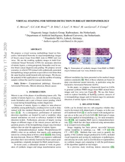 Virtual staining for mitosis detection in Breast Histopathology