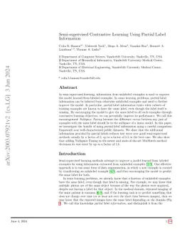 Semi-supervised Contrastive Learning Using Partial Label Information
