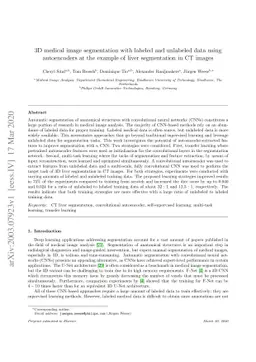 3D medical image segmentation with labeled and unlabeled data using
  autoencoders at the example of liver segmentation in CT images