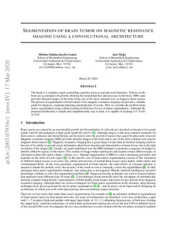 Segmentation of brain tumor on magnetic resonance imaging using a
  convolutional architecture