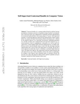 Self-Supervised Contextual Bandits in Computer Vision