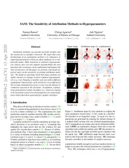 SAM: The Sensitivity of Attribution Methods to Hyperparameters