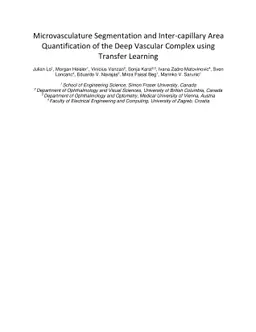 Microvasculature Segmentation and Inter-capillary Area Quantification of
  the Deep Vascular Complex using Transfer Learning