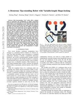 A Dexterous Tip-extending Robot with Variable-length Shape-locking