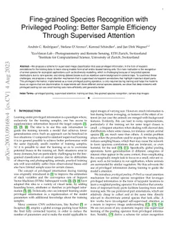Fine-grained Species Recognition with Privileged Pooling: Better Sample
  Efficiency Through Supervised Attention