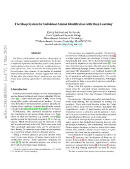 The Sloop System for Individual Animal Identification with Deep Learning