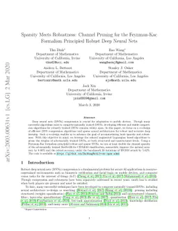 Sparsity Meets Robustness: Channel Pruning for the Feynman-Kac Formalism
  Principled Robust Deep Neural Nets