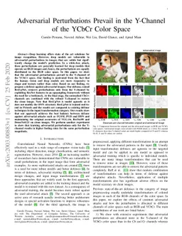 Adversarial Perturbations Prevail in the Y-Channel of the YCbCr Color
  Space