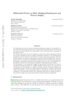 Differential Privacy at Risk: Bridging Randomness and Privacy Budget