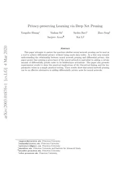 Privacy-preserving Learning via Deep Net Pruning