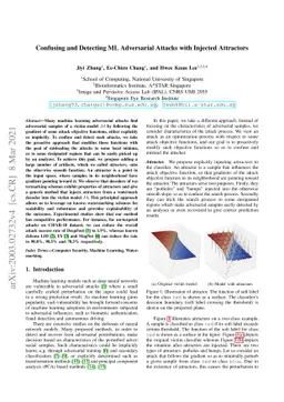 Confusing and Detecting ML Adversarial Attacks with Injected Attractors