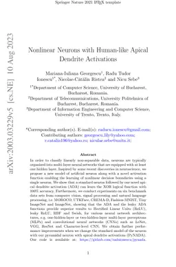 Non-linear Neurons with Human-like Apical Dendrite Activations