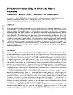 Synaptic Metaplasticity in Binarized Neural Networks