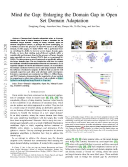 Mind the Gap: Enlarging the Domain Gap in Open Set Domain Adaptation