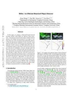 BiDet: An Efficient Binarized Object Detector
