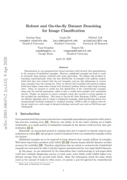 Robust and On-the-fly Dataset Denoising for Image Classification
