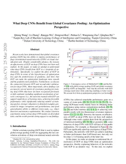 What Deep CNNs Benefit from Global Covariance Pooling: An Optimization
  Perspective