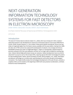 Next-Generation Information Technology Systems for Fast Detectors in
  Electron Microscop