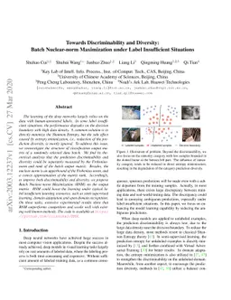 Towards Discriminability and Diversity: Batch Nuclear-norm Maximization
  under Label Insufficient Situations