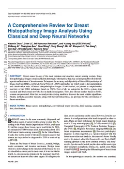 A Comprehensive Review for Breast Histopathology Image Analysis Using
  Classical and Deep Neural Networks