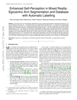 Enhanced Self-Perception in Mixed Reality: Egocentric Arm Segmentation
  and Database with Automatic Labelling