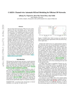 CAKES: Channel-wise Automatic KErnel Shrinking for Efficient 3D Networks
