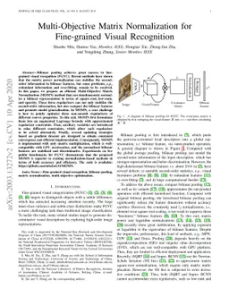 Multi-Objective Matrix Normalization for Fine-grained Visual Recognition