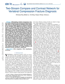 Two-Stream Compare and Contrast Network for Vertebral Compression
  Fracture Diagnosis