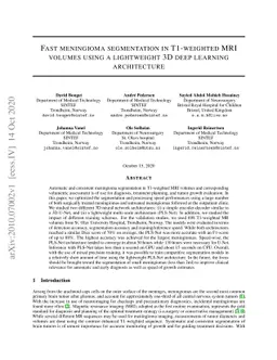 Fast meningioma segmentation in T1-weighted MRI volumes using a
  lightweight 3D deep learning architecture