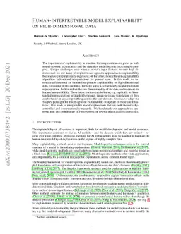 Human-interpretable model explainability on high-dimensional data