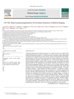 CS2-Net: Deep Learning Segmentation of Curvilinear Structures in Medical
  Imaging