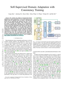 Self-Supervised Domain Adaptation with Consistency Training