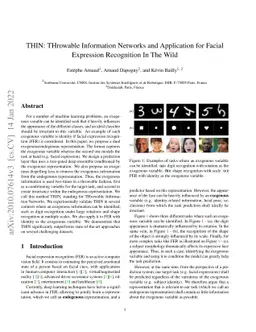 THIN: THrowable Information Networks and Application for Facial
  Expression Recognition In The Wild