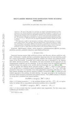 Regularized Bridge-type estimation with multiple penalties