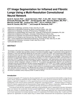 CT Image Segmentation for Inflamed and Fibrotic Lungs Using a
  Multi-Resolution Convolutional Neural Network