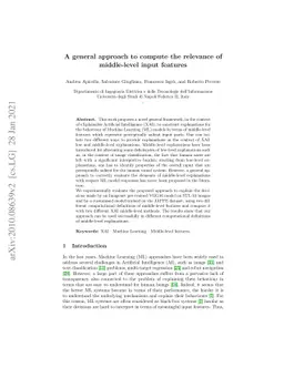A general approach to compute the relevance of middle-level input
  features