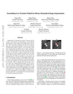 Ensembling Low Precision Models for Binary Biomedical Image Segmentation