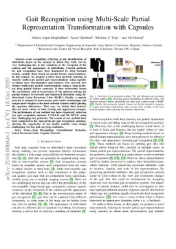 Gait Recognition using Multi-Scale Partial Representation Transformation
  with Capsules